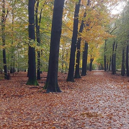 Вилла Chalet Wanama. Gelegen Op Het Vakantiepark Het Lierderholt Op De Veluwe. Бикберген Экстерьер фото