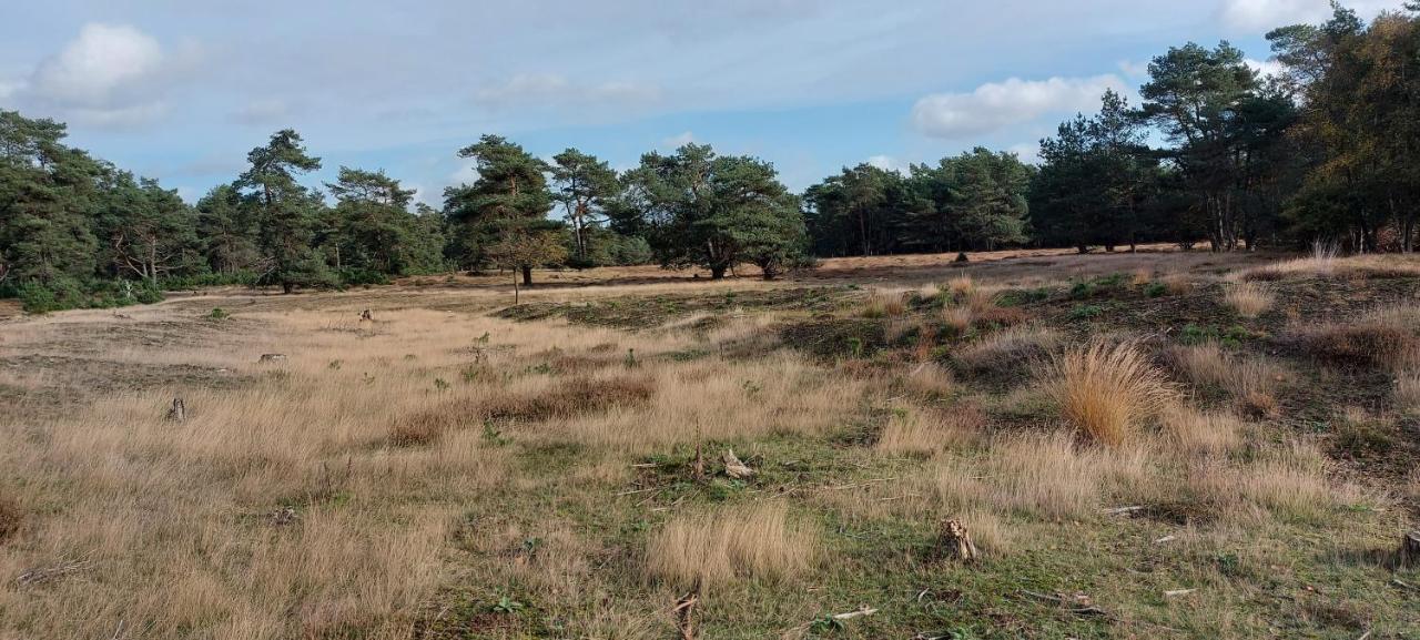 Вилла Chalet Wanama. Gelegen Op Het Vakantiepark Het Lierderholt Op De Veluwe. Бикберген Экстерьер фото